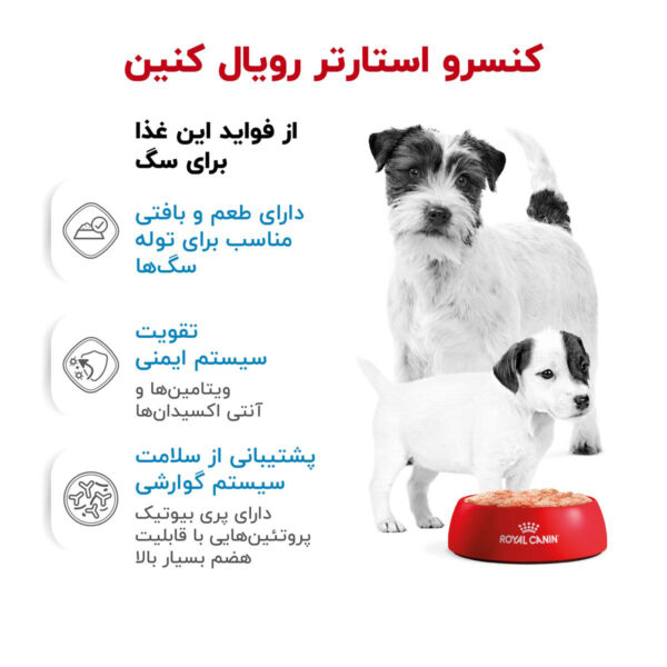 کنسرو غذای سگ رویال کنین مدل Starter Mother and Babydog- Stage2 وزن 195 گرم