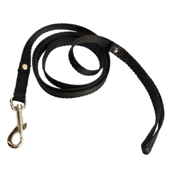 قلاده گردنی و بند قلاده سگ و گربه مدل black00