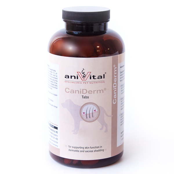 قرص مکمل سگ آنیویتال کد 23952 بسته 120 عددی