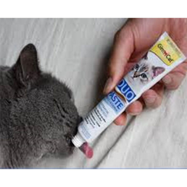 خمیر مولتی ویتامین جیم کت مدل دوقلو ماهی تن وزن 50 گرم