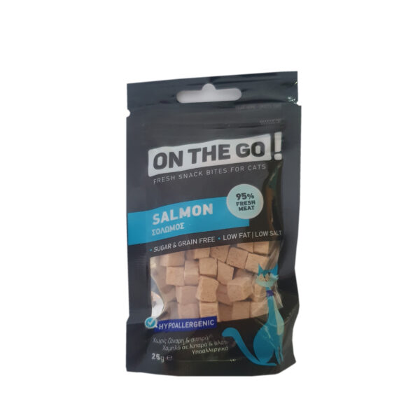 تشویقی گربه مدل salmon وزن 25 گرم