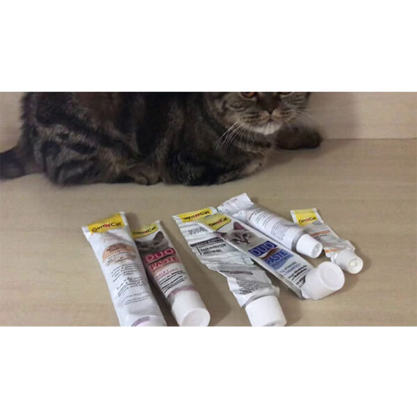 خمیر مولتی ویتامین جیم کت مدل دوقلو ماهی تن وزن 50 گرم