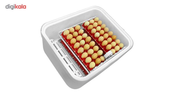 دستگاه جوجه کشی مدل easy-bator2 ظرفیت 96 عددی