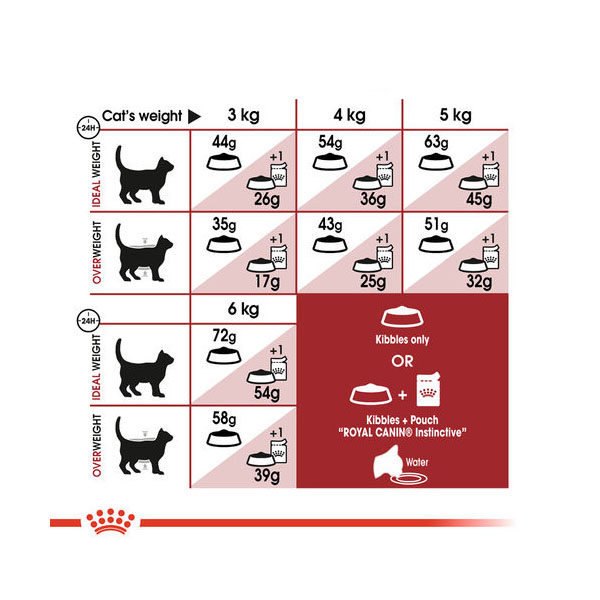 غذای گربه رویال کنین مدل FIT وزن 2 کیلوگرم