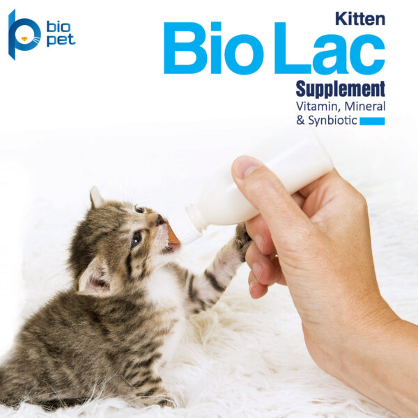 شیر خشک گربه بایو پت مدل Kitten BioLac Super Premium وزن 400 گرم شیر خشک گربه بایو پت مدل Kitten BioLac Super Premium وزن 400 گرم