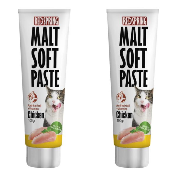 خمیر مالت گربه رداسپرینگ مدل مرغ حجم 100 گرم بسته دو عددی