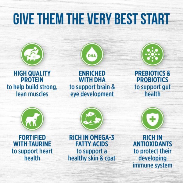 غذای خشک سگ نوترینس مدل Original کد D6019 وزن 11.5 کیلوگرم