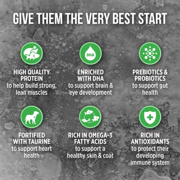 غذای خشک سگ نوترینس مدل Subzero کد D6230 وزن 2.27 کیلوگرم