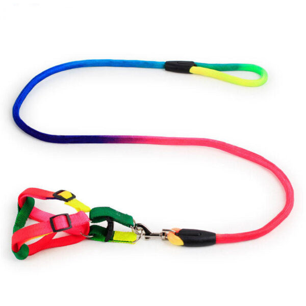 قلاده و بند قلاده سگ و گربه مدل RAINBOW شبرنگی