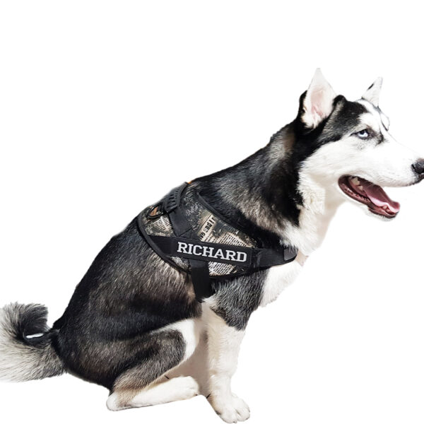 قلاده و بند قلاده سگ نوا مدل تنی گارداگ کد 220 قلاده و بند قلاده سگ نوا مدل تنی گارداگ کد 220