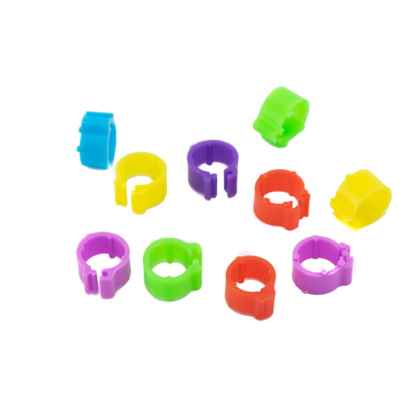 حلقه پا پرندگان مدل کبوتر چفتی بسته 10 عددی