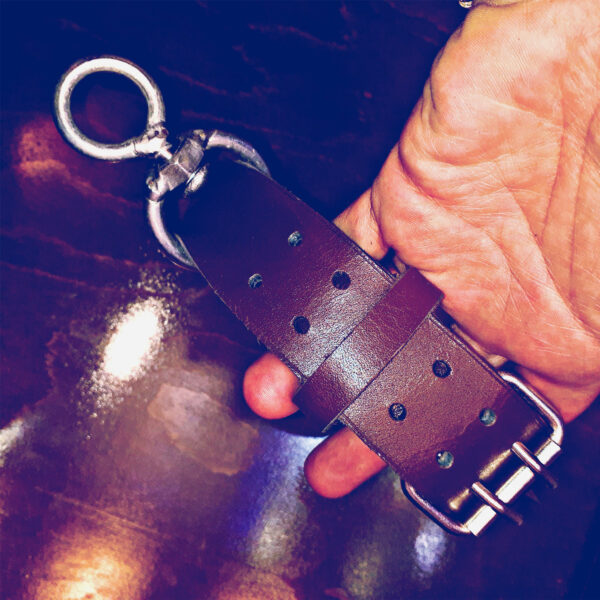 قلاده سگ مدل SP200 قلاده سگ مدل SP200