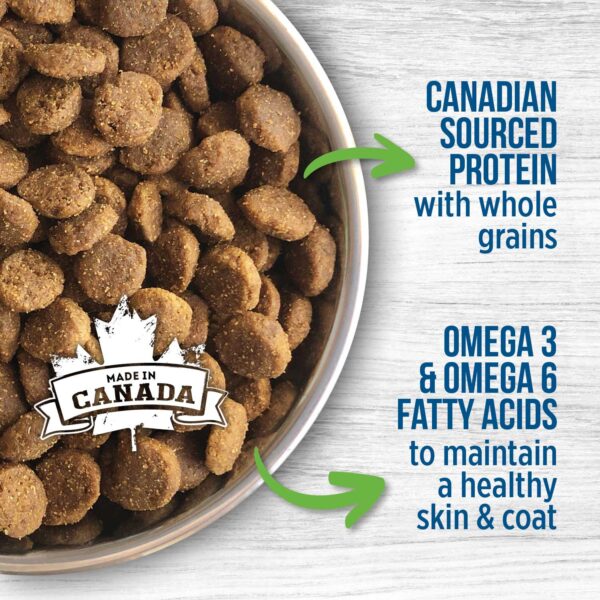 غذای خشک سگ نوترینس مدل Original کد D6019 وزن 11.5 کیلوگرم