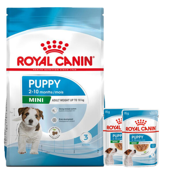 غذای خشک و توله سگ رویال کنین مدل Mini Puppy وزن 2 کیلوگرم مجموعه 3 عددی