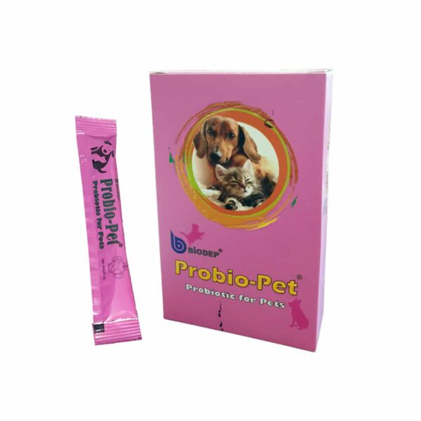 مکمل غذای سگ و گربه بایودپ مدل پروبیوپت وزن 150 گرم بسته 15 عددی