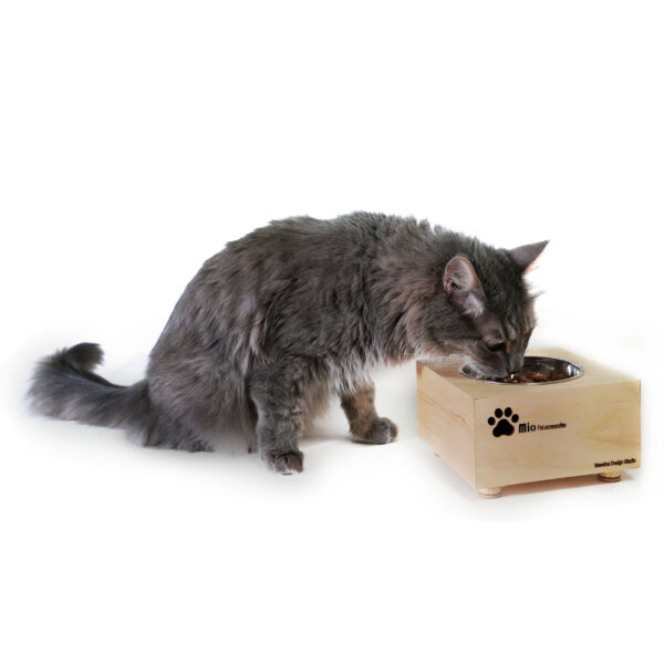 ظرف آب و غذای سگ و گربه مسینا مدل mio b001