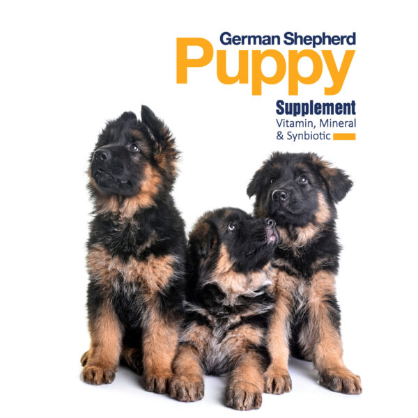 مکمل سگ بایو پت مدل Adult & Puppy وزن 500 گرم مجموعه 2 عددی