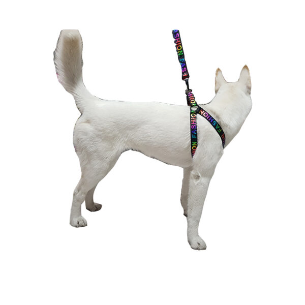 قلاده کتفی سگ مدل Fashion