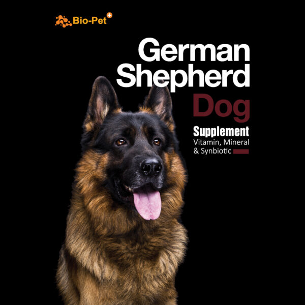 مکمل سگ بایو پت مدل Adult & Puppy وزن 500 گرم مجموعه 2 عددی