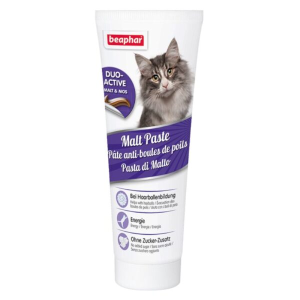 خمیر مالت گربه بیفار مدل Anti Hairball وزن 100 گرم