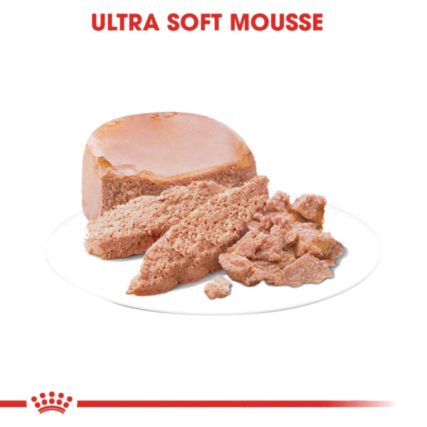 غذای خشک رویال کنین مدل Mother & Babycat وزن ۱۹۵ گرم