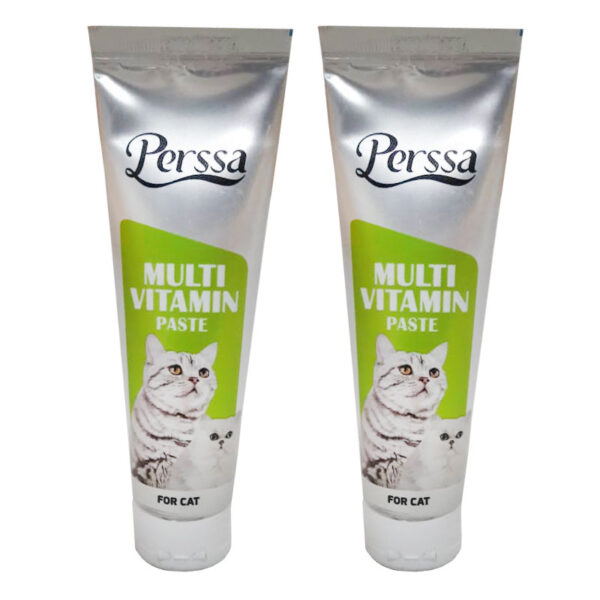 خمیر مولتی ویتامین گربه پرسا مدل Multi Paste وزن 100 گرم بسته 2 عددی
