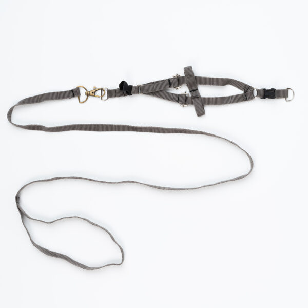 قلاده خرگوش کد 75