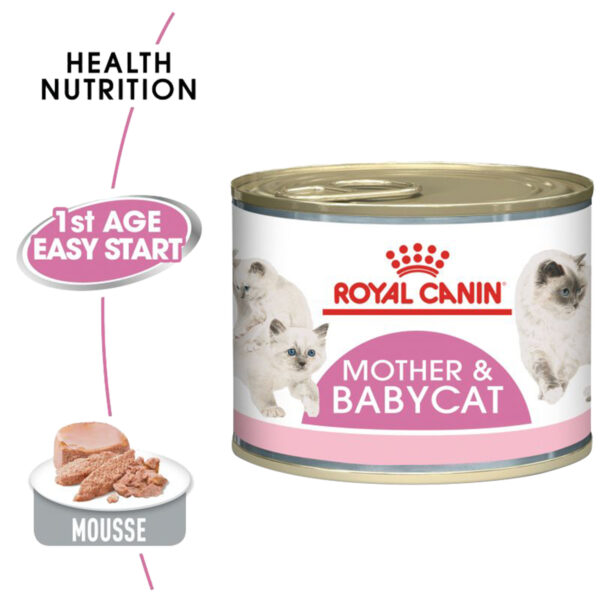 غذای خشک رویال کنین مدل Mother & Babycat وزن ۱۹۵ گرم