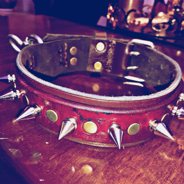 قلاده سگ مدل SP200 قلاده سگ مدل SP200