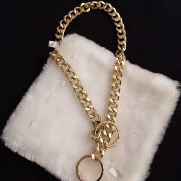 قلاده سگ و گربه مدل دو حلقه قلاده سگ و گربه مدل دو حلقه