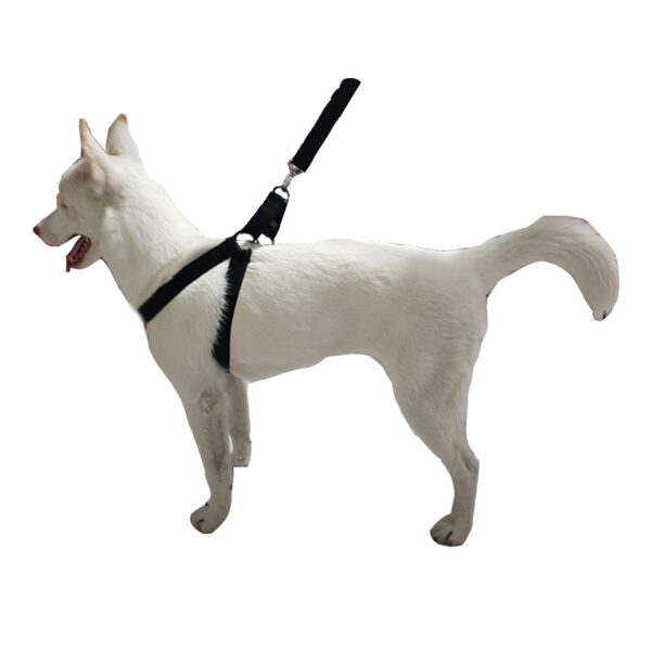 قلاده کتفی سگ مدل Marling