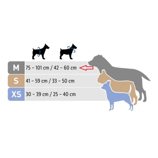 قلاده کتفی سگ زوفاری مدل شب رنگ M قلاده کتفی سگ زوفاری مدل شب رنگ M