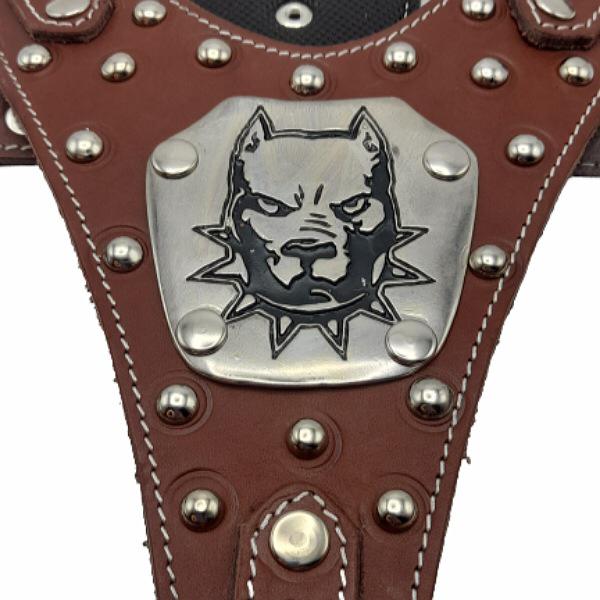 قلاده کمری سگ رومیتو طرح چرمی مدل گلادیاتور5 قلاده کمری سگ رومیتو طرح چرمی مدل گلادیاتور5