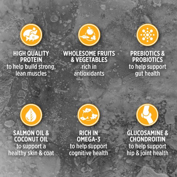 غذای خشک سگ نوترینس مدل Subzero کد D6201 وزن 2.27 کیلوگرم غذای خشک سگ نوترینس مدل Subzero کد D6201 وزن 2.27 کیلوگرم