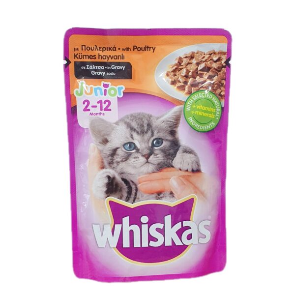 غذای پوچ بچه گربه ویسکاس مدل مرغ وزن 100 گرم