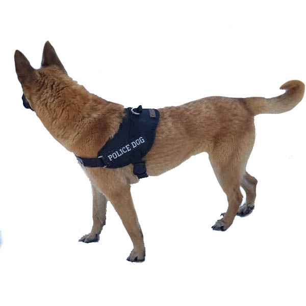 قلاده و بند قلاده سگ نوا مدل تنی گارداگ کد 220