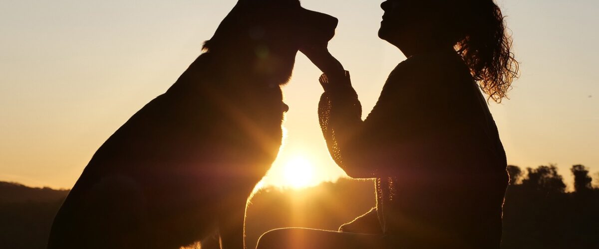 راهنمای کامل نگهداری از سگ: مراقبت‌های اساسی و نکات مهم