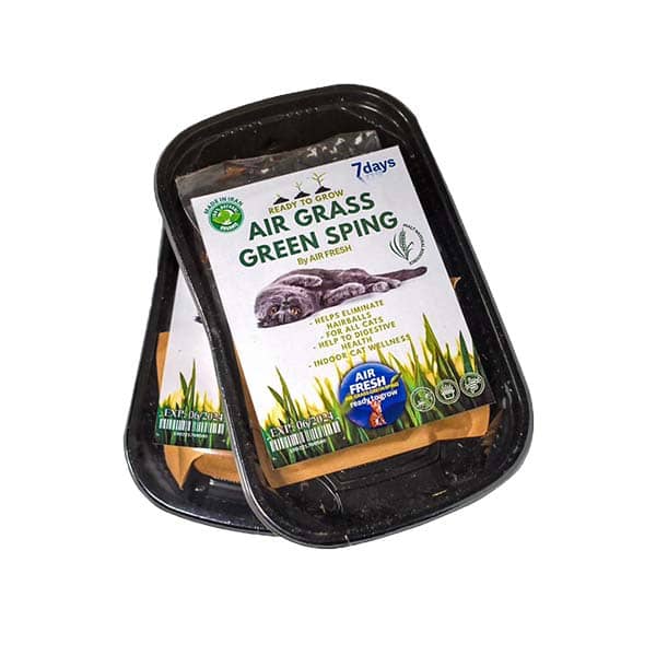 غذای گربه مدل بذر علف وزن 100 گرم