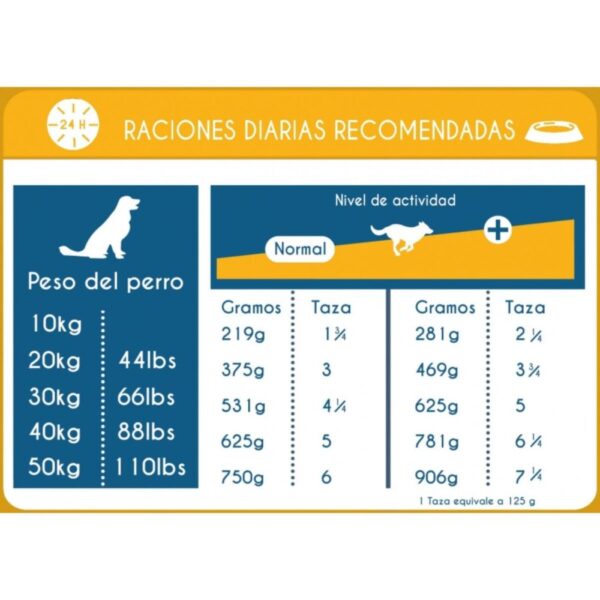 غذای خشک سگ نوترینس مدل Original کد D6039 وزن 11.5 کیلوگرم