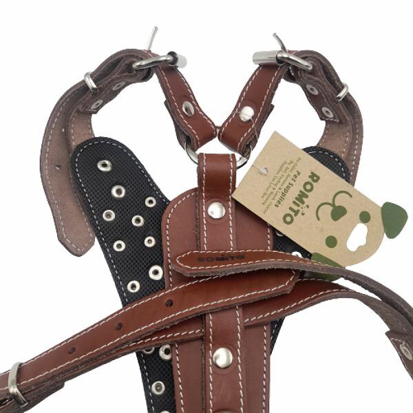 قلاده کمری سگ رومیتو طرح چرمی مدل گلادیاتور5 قلاده کمری سگ رومیتو طرح چرمی مدل گلادیاتور5