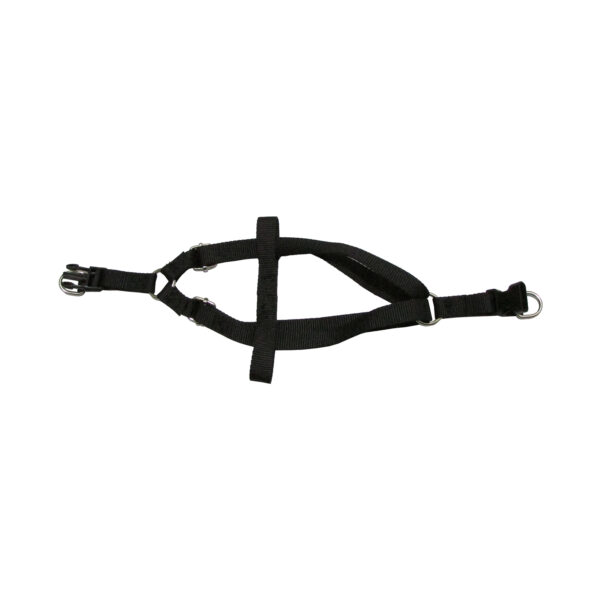 قلاده سگ و گربه کد MS-66