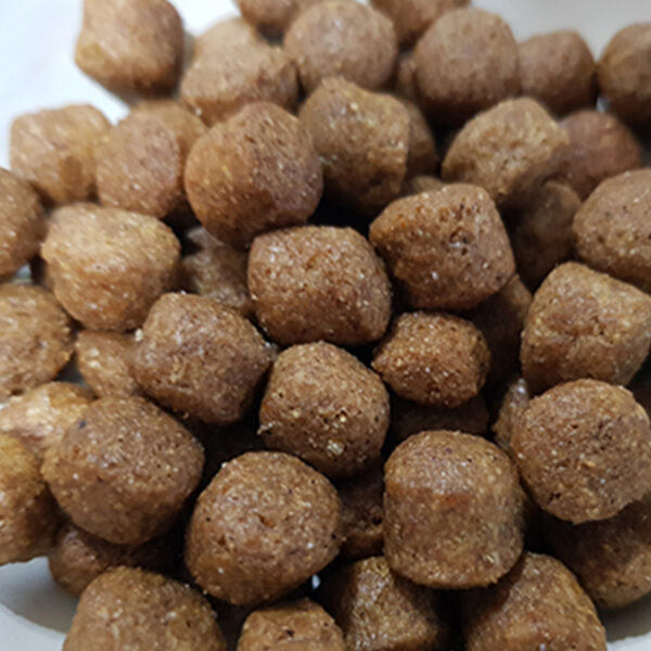 غذای خشک سگ ودو مدل سوپرپرمیوم لارج ادلت وزن 10 کیلوگرم