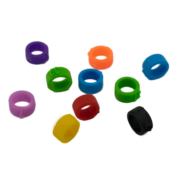 حلقه پای کبوتر مدل ژله ای مجموعه 10 عددی